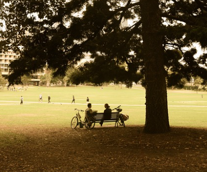 길 위에서 만난 사람들 &ndash; 우연한 대화가 남긴 따뜻한 여운
