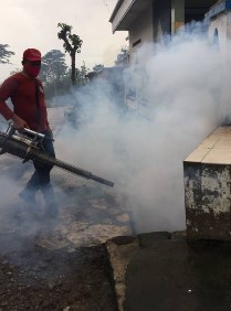 말라리아 증상 예방 치료 백신