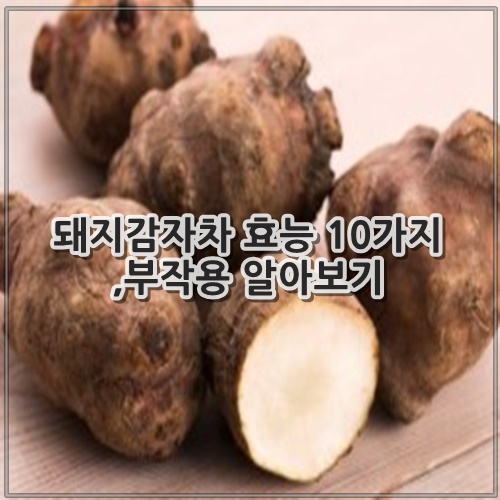 돼지감자차 효능 10가지, 부작용 알아보기