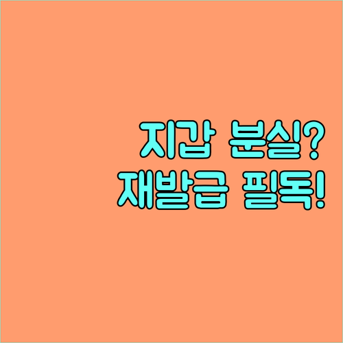 지갑 분실 시 모두의카드 대처법과 카..