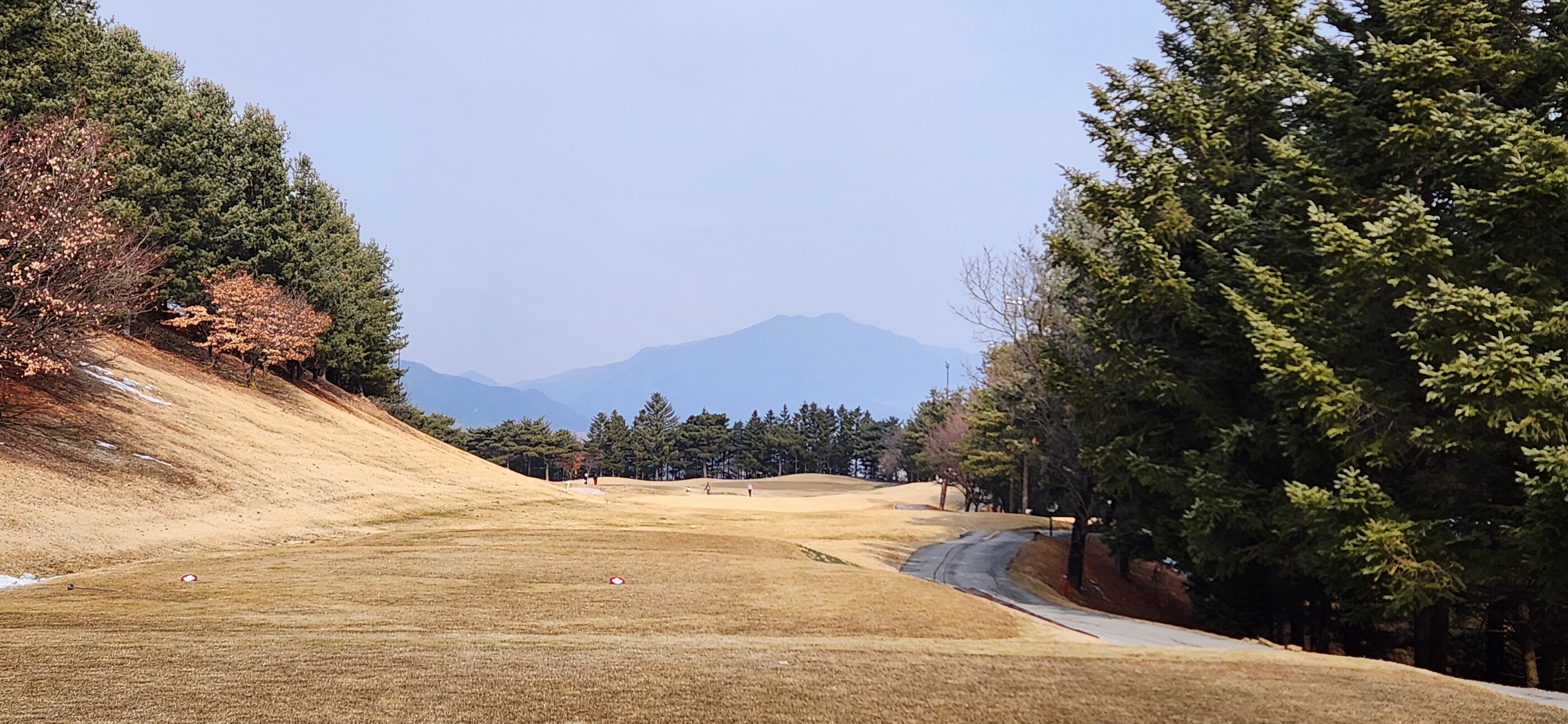 필로스cc