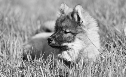 치료 시 주의사항 &amp; Q&amp;A 관련 사진