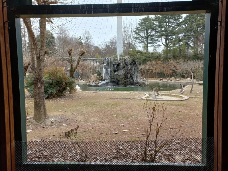 전주동물원 물새장