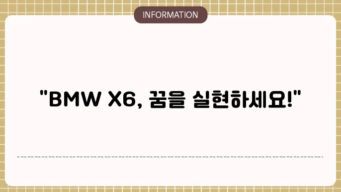 bmw x6 장기렌트