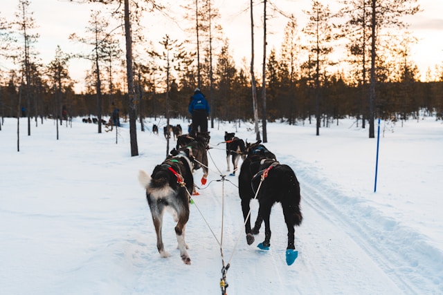 가평 쁘띠프랑스 이탈리아 마을 통합권 할인 꿀팁