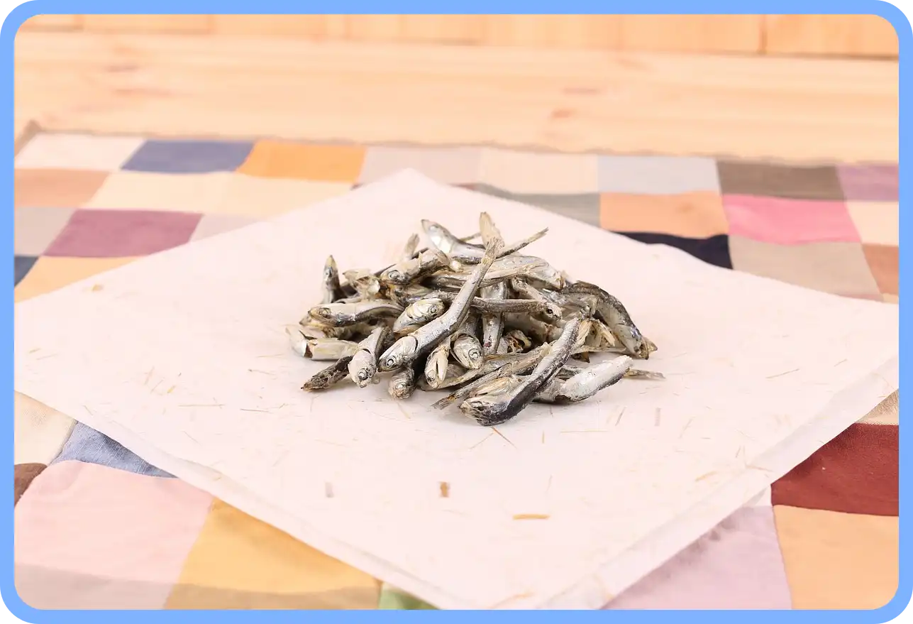 멸치젓 새우젓 굴 천일염 김장 재료 할인 세일 50% 코리아 수산 페스타