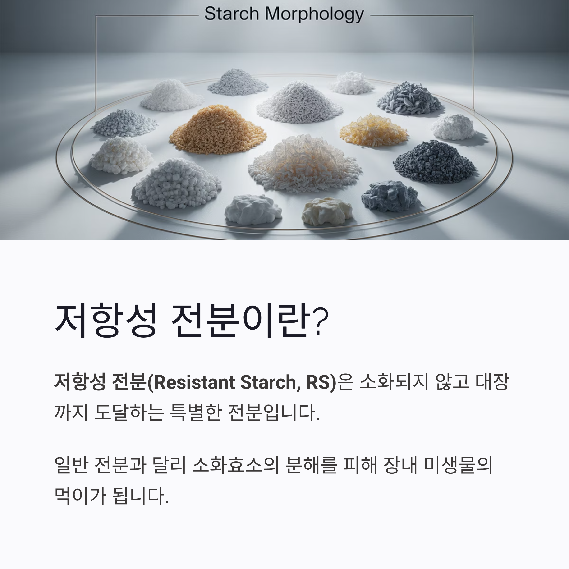저항성 전분이란?