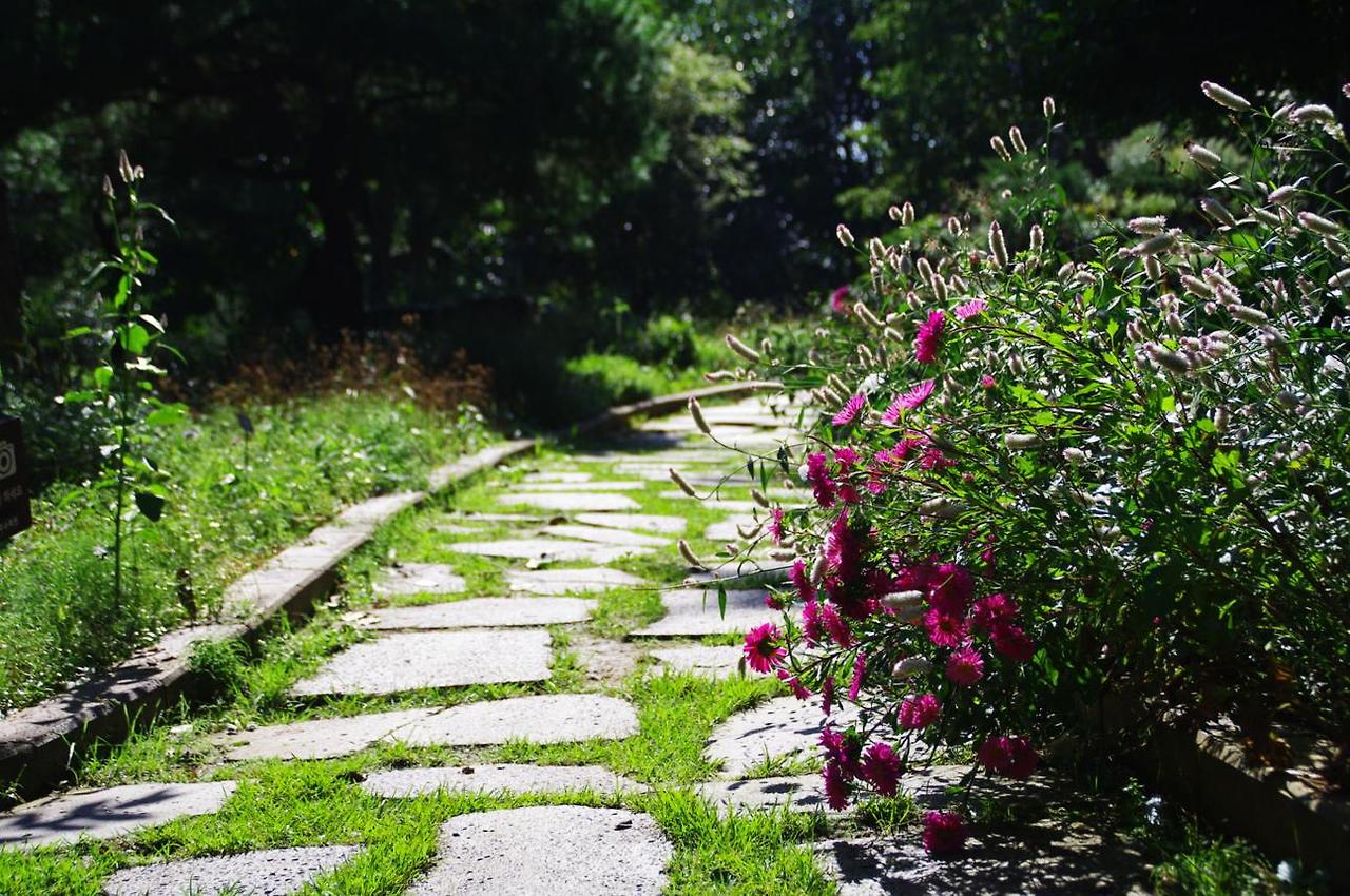 화담숲 온라인으로 3분만에 예약하기