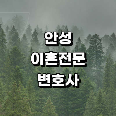 안성시 이혼 변호사