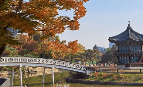 경복궁달빛야행 행사정보유의사항