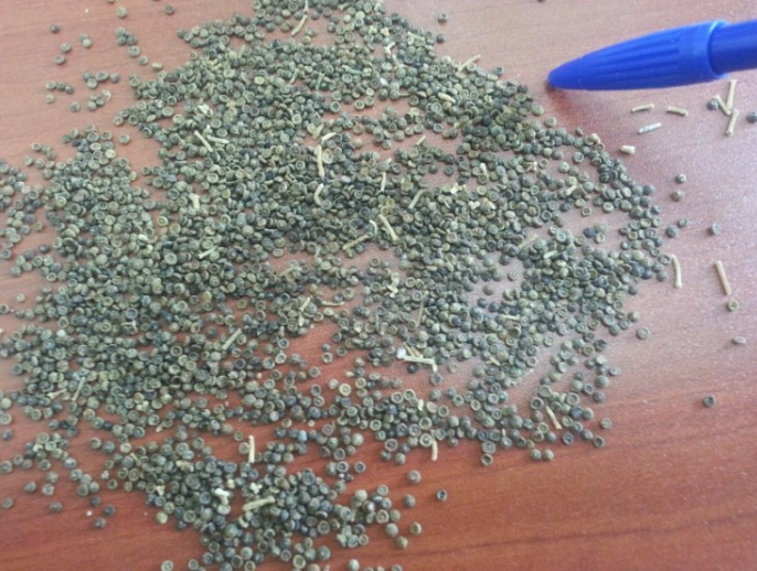 사크사울 관련 사진