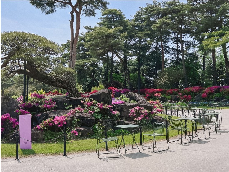 파주벽초지수목원-사진