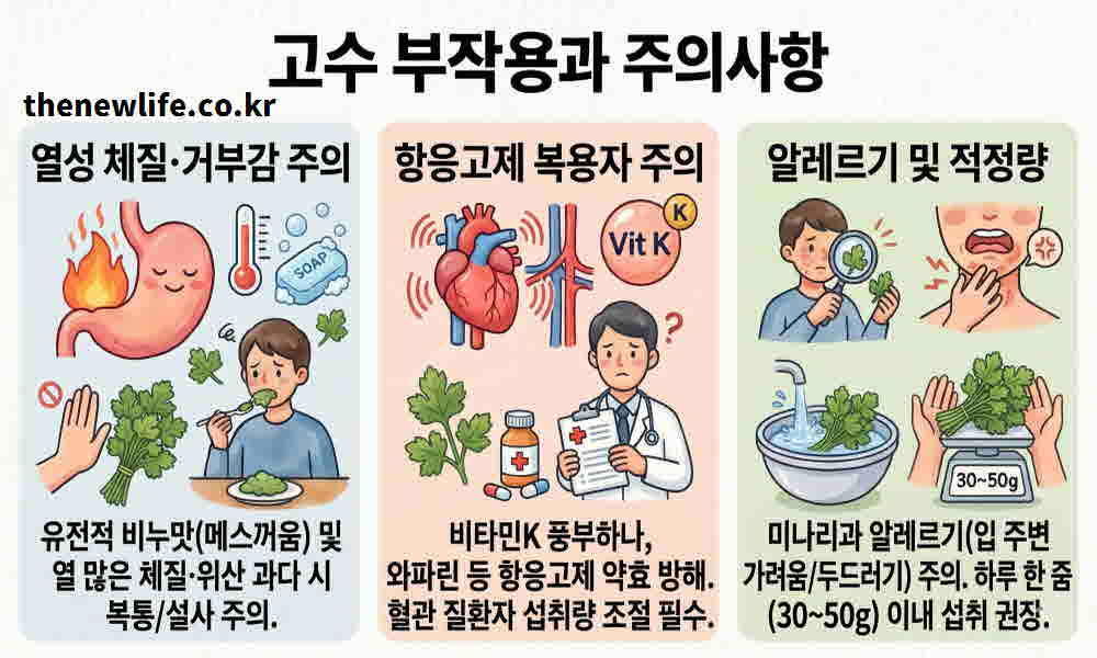 고수 효능 부작용