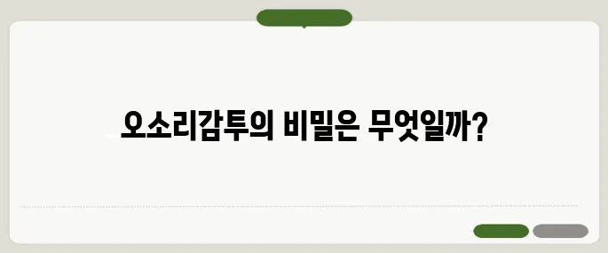 오소리감투 뜻과 유래 간단 정리