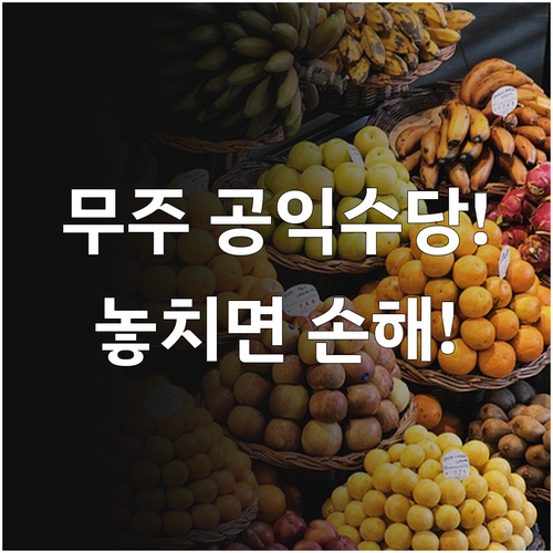 무주군 농어민 공익수당 자격 요건과 ..