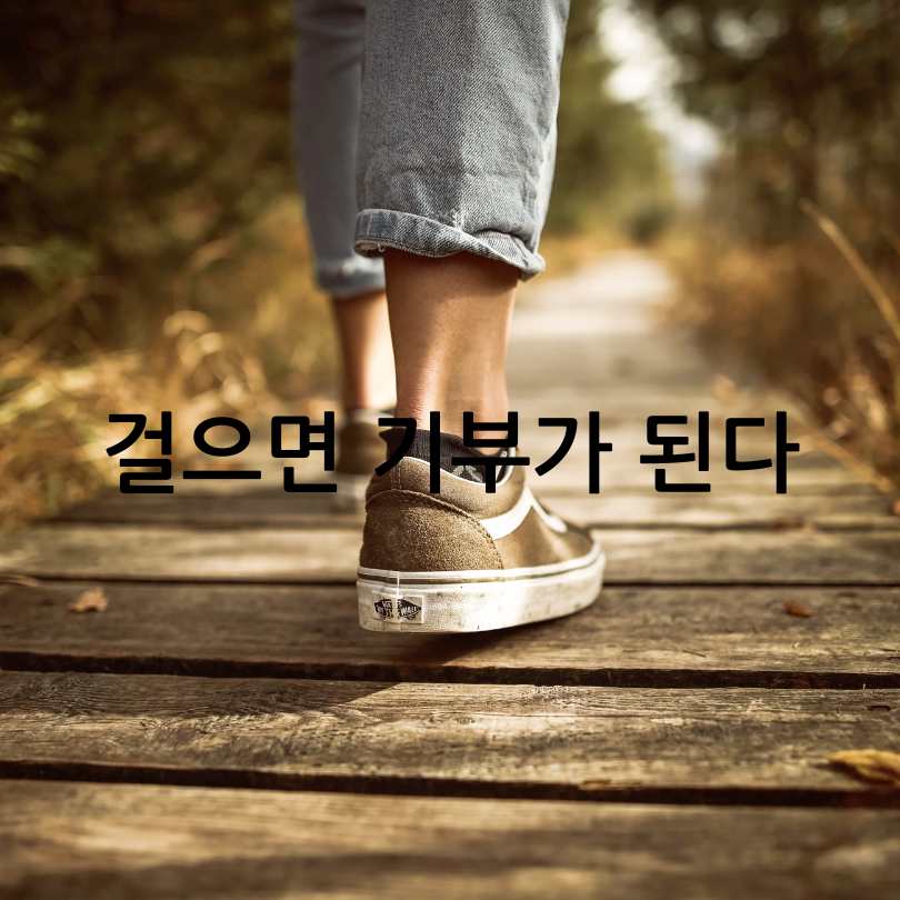 손목닥터9988 남산 걷기 챌린지