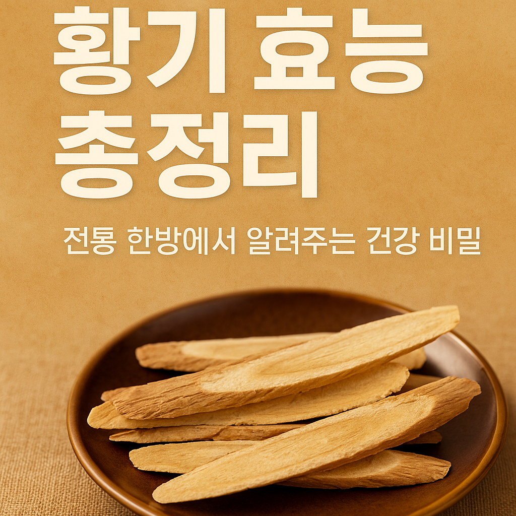 황기 효능 총정리, 전통 한방에서 알려주는 활용법