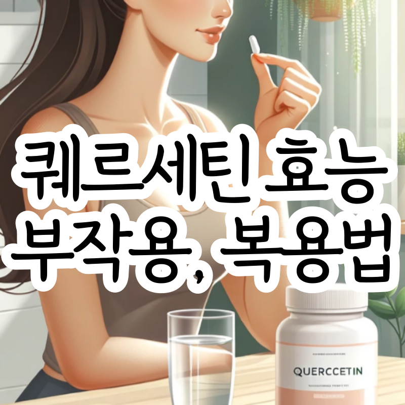 퀘르세틴 효능 부작용 퀘르세틴 브로멜라인 조합