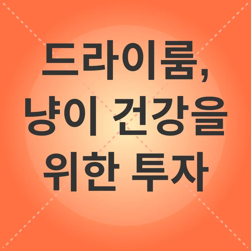 고양이 드라이룸_3