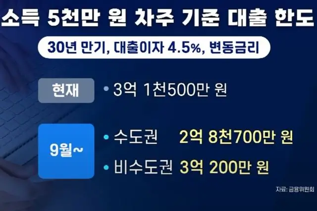 스트레스 DSR 제도