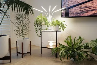 식물등 설치 위치높이 시간대설정 광량부족 해결 겨울철 성장 돕기_11