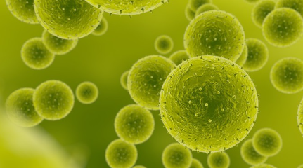 알레르기 유발 식품.