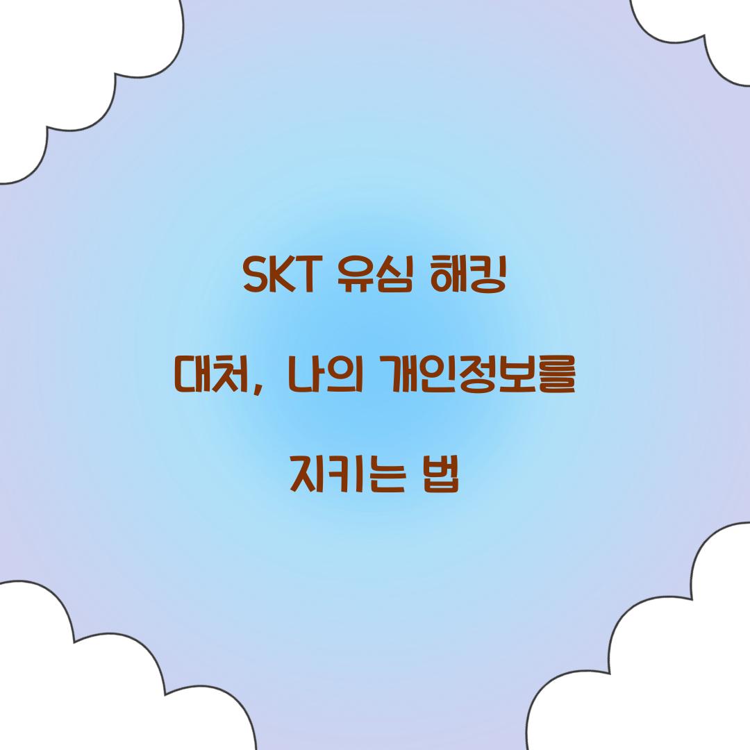 SKT 유심 해킹 대처