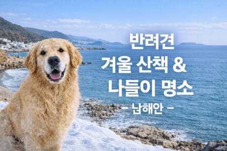 남해안 반려견 겨울 나들이 명소, 강아지와 함께 걷기 좋은 바다 산책 코스