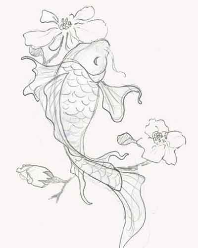 잉어 일러스트 그림