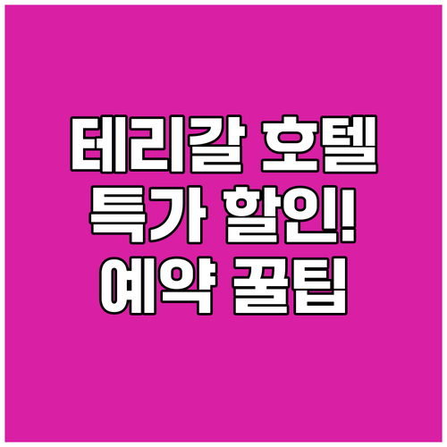 테리갈 호텔 예약 꿀팁 특가 정보와
