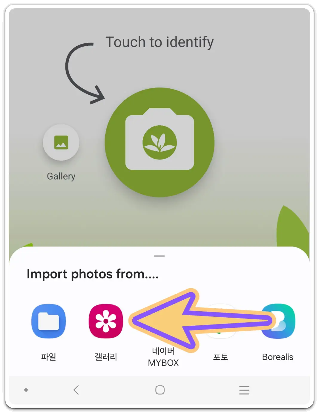 꽃-화초-이름-검색-찾기-무료-어플