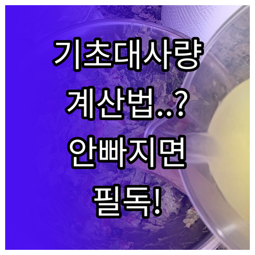 기초대사량 기준 하루 섭취량 계산과 ..