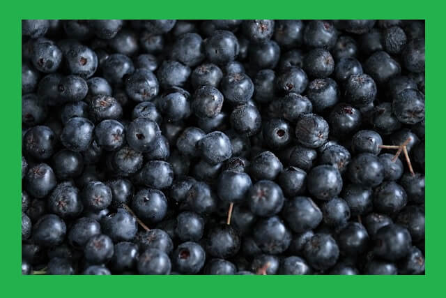쌓여있는-아로니아-열매