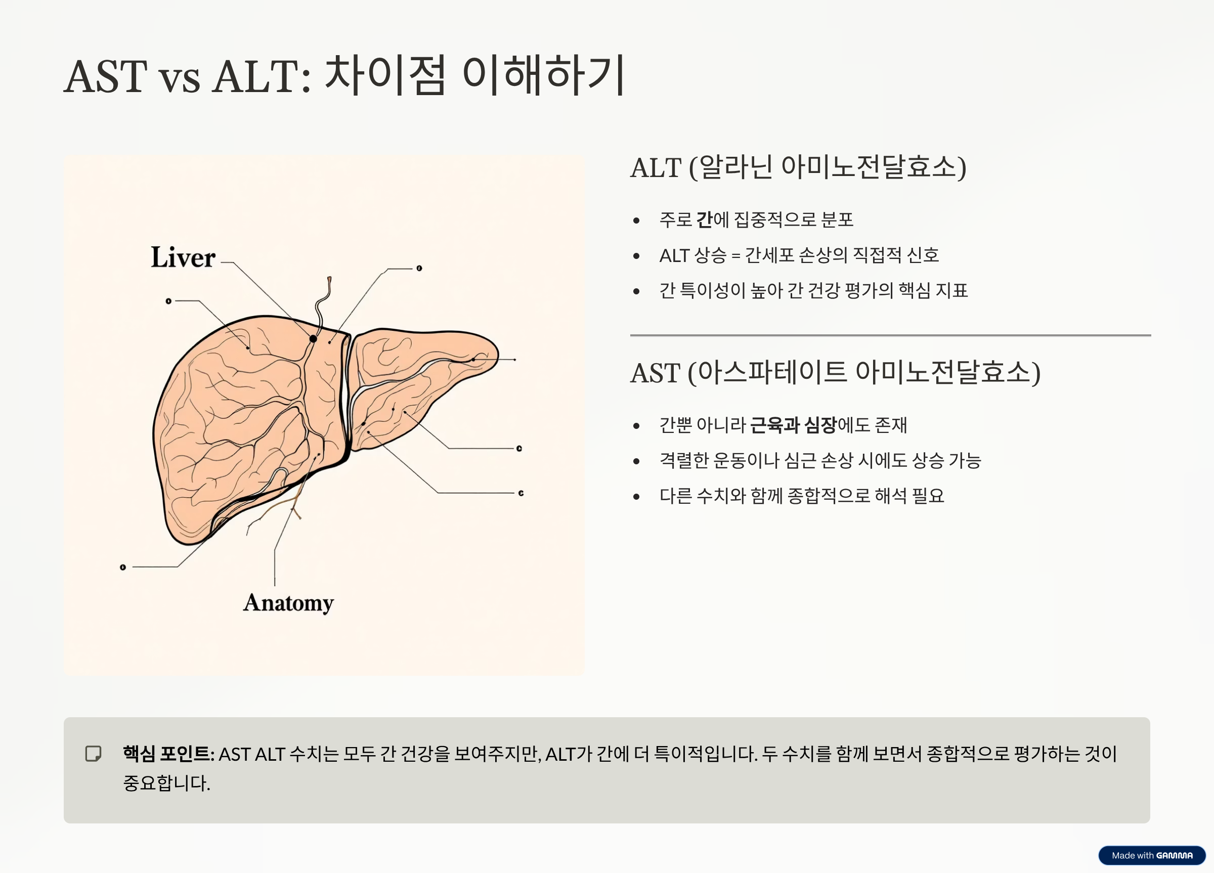 ALT AST 수치