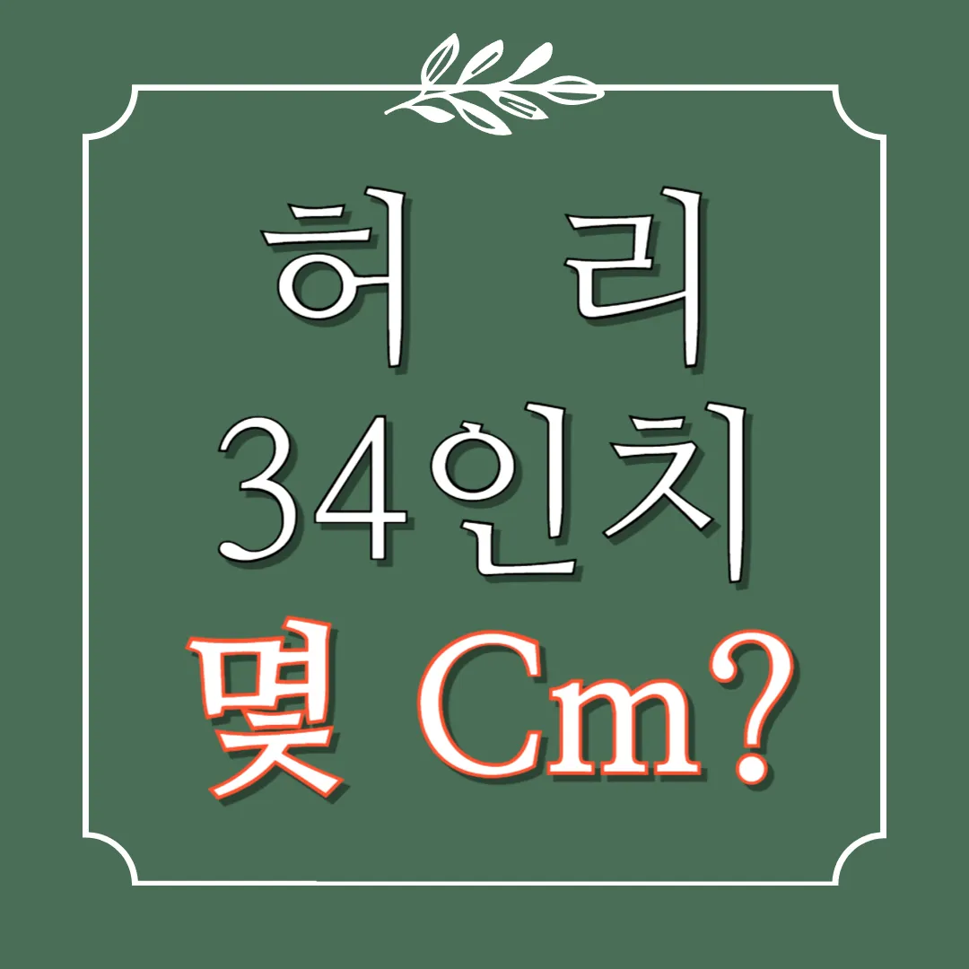 허리 34인치 몇cm