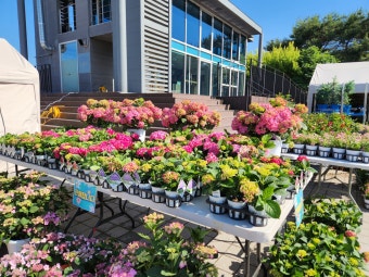 서울국제정원박람회