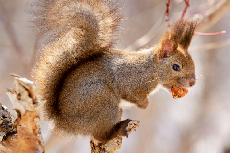 대구 네이처파크 버드가든