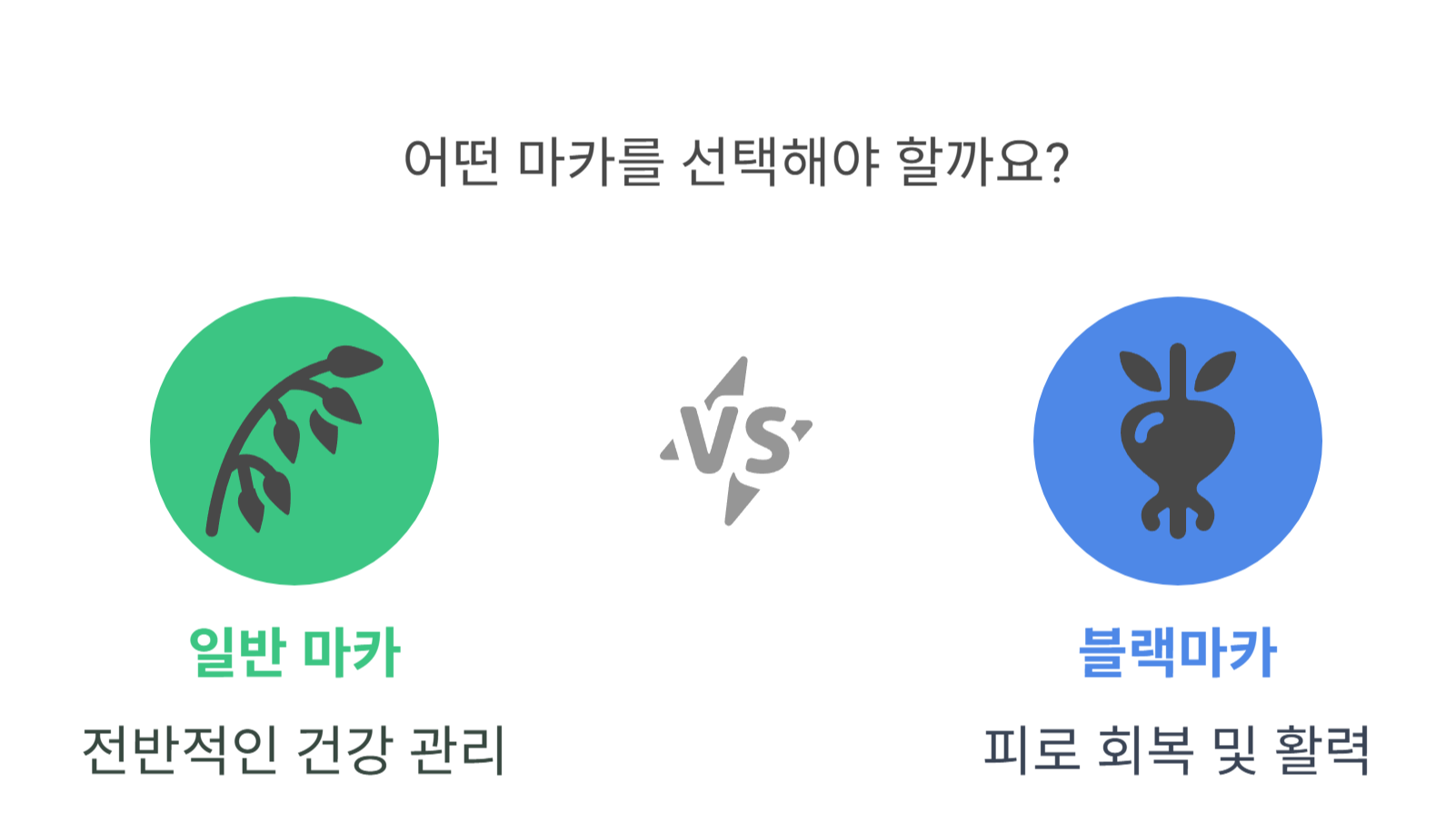 일반 마카와 블랙마카의 차이점
