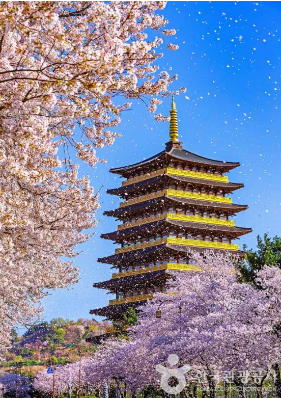 경주 황룡원중도타워