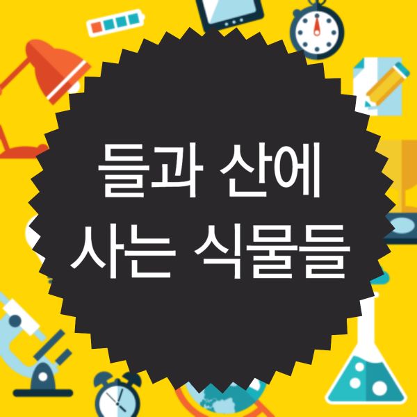 들과 산에 사는 식물