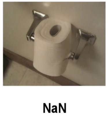 NaN