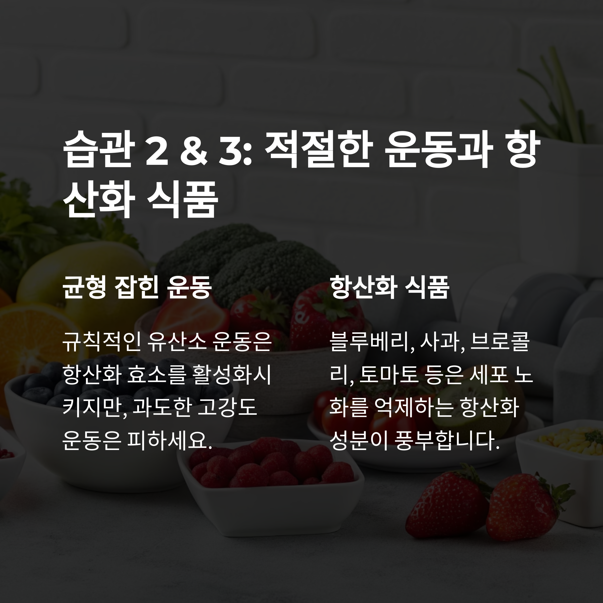 텍스트이미지