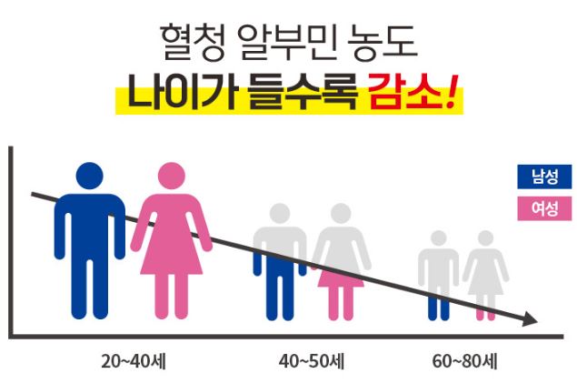 알부민의효능