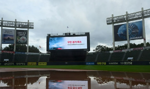 2025 프로야구 중계 꿀팁 총정리! 예매, 하이라이트까지 한방에