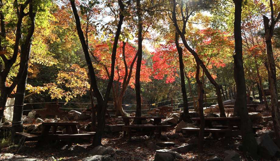 숲나들e-국립자연휴양림-성수기-추첨