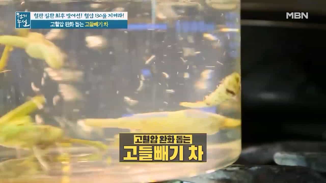 고혈압에 좋은 차 고들빼기 차 만드는법