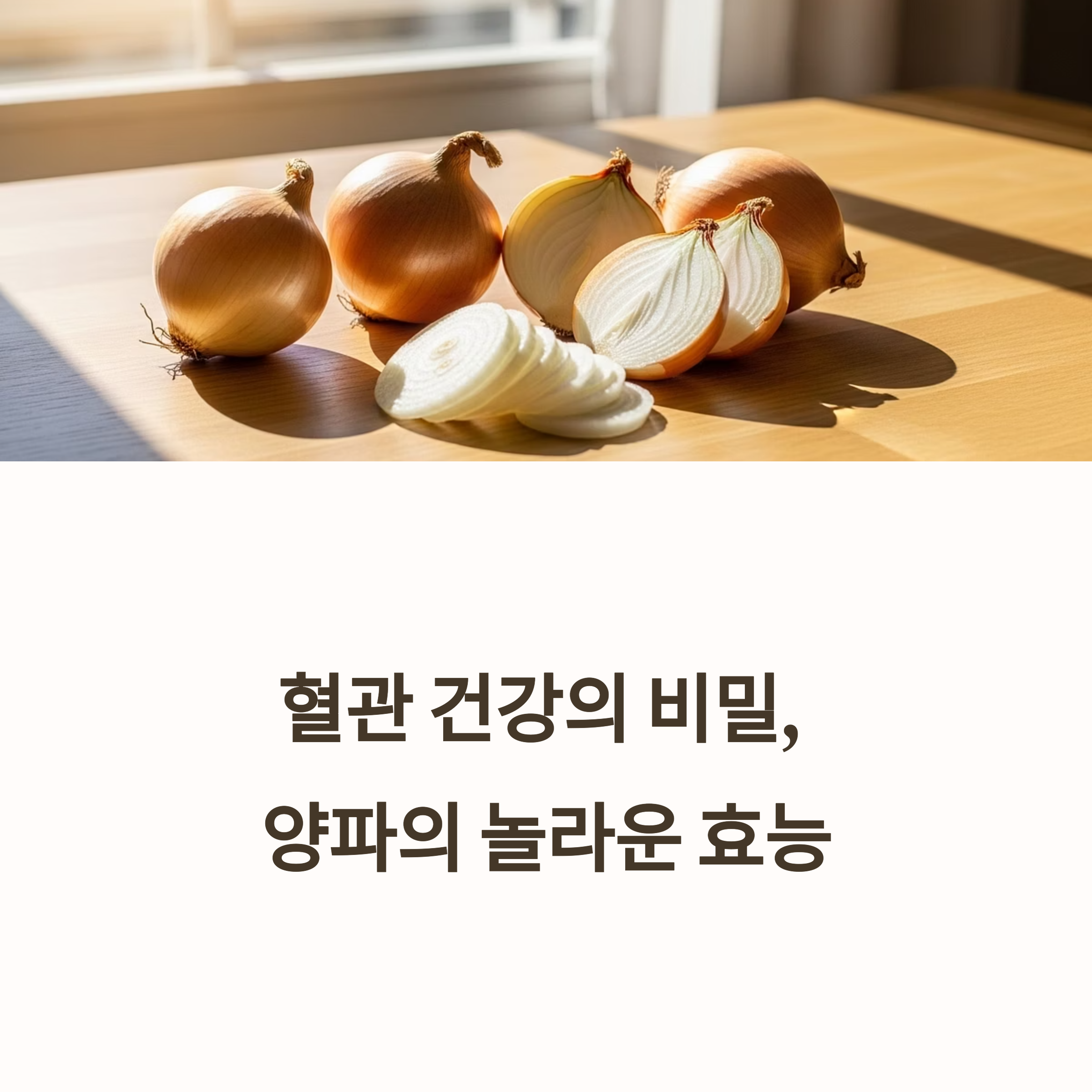 혈관 건강의 비밀, 양파의 놀라운 효능