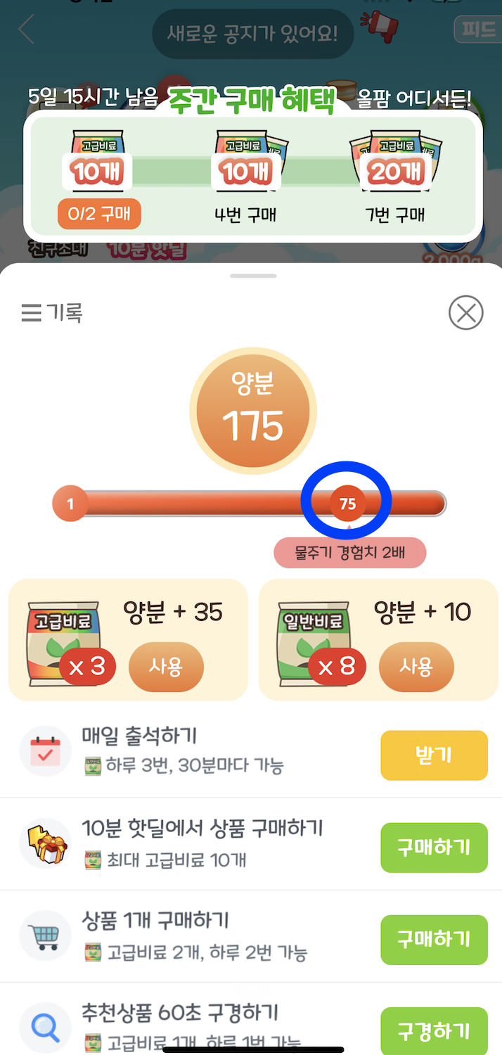 비료-물-경험치