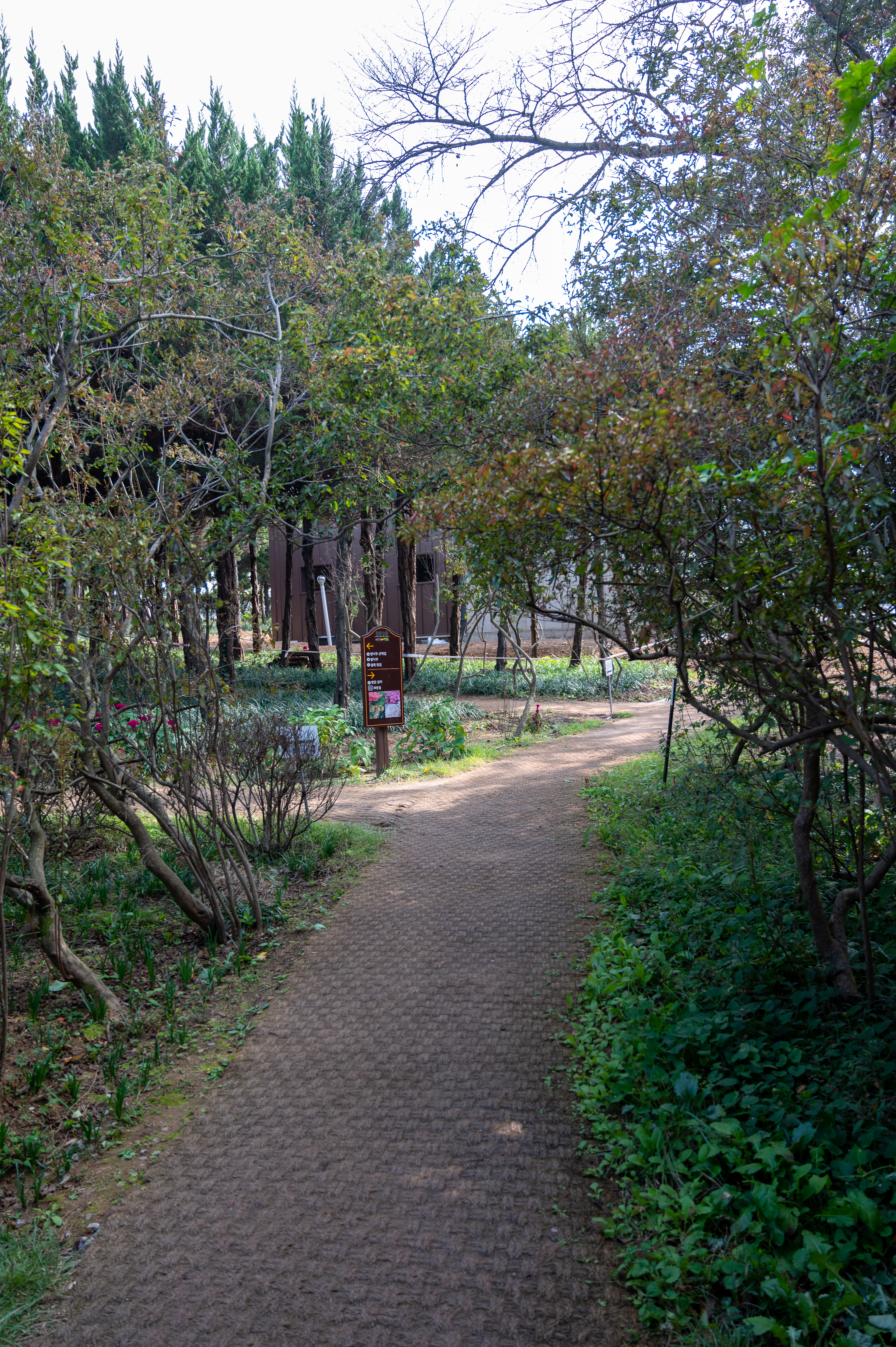 ์๊ฐํ ์ ์