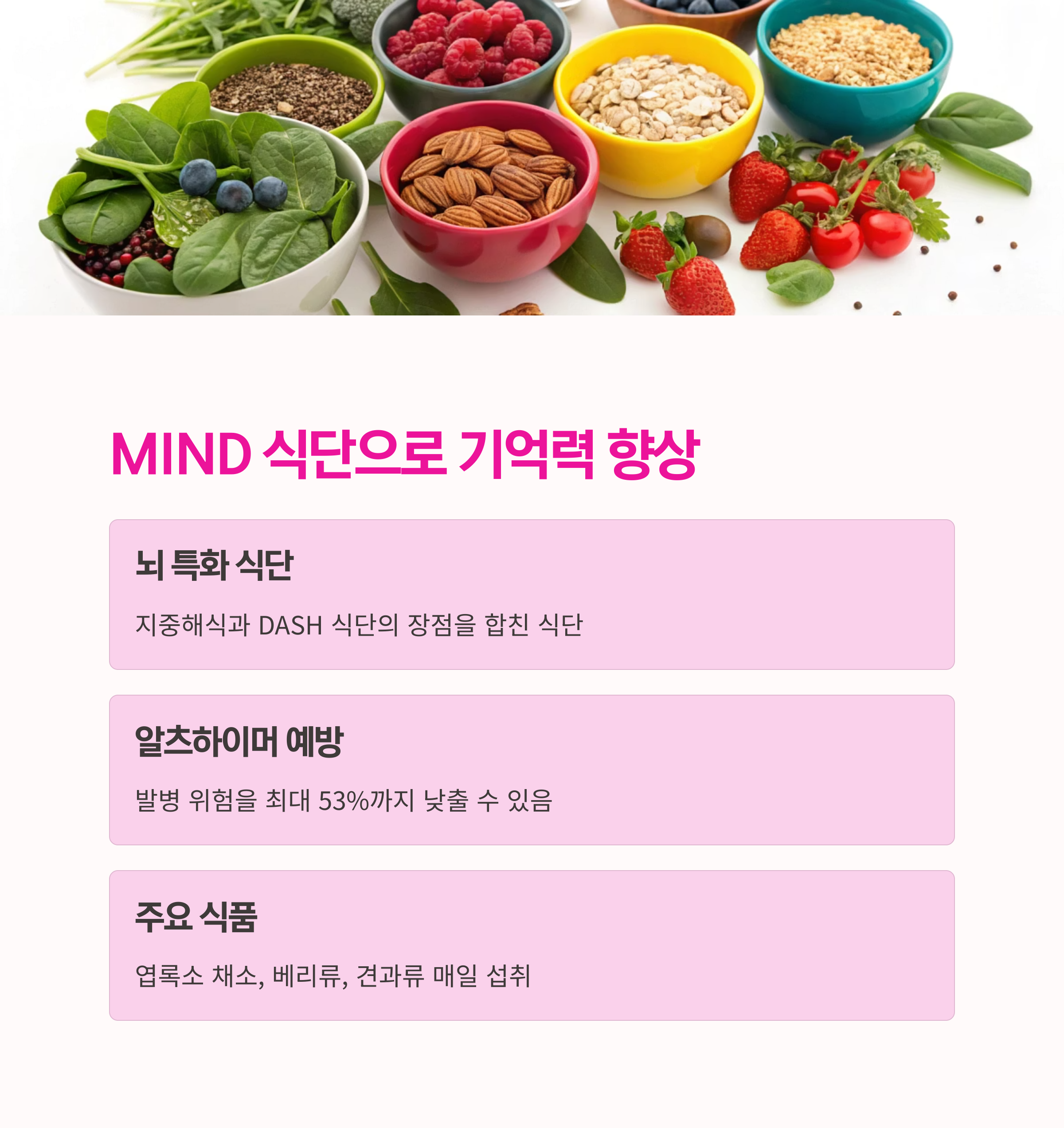 뇌 건강 음식,